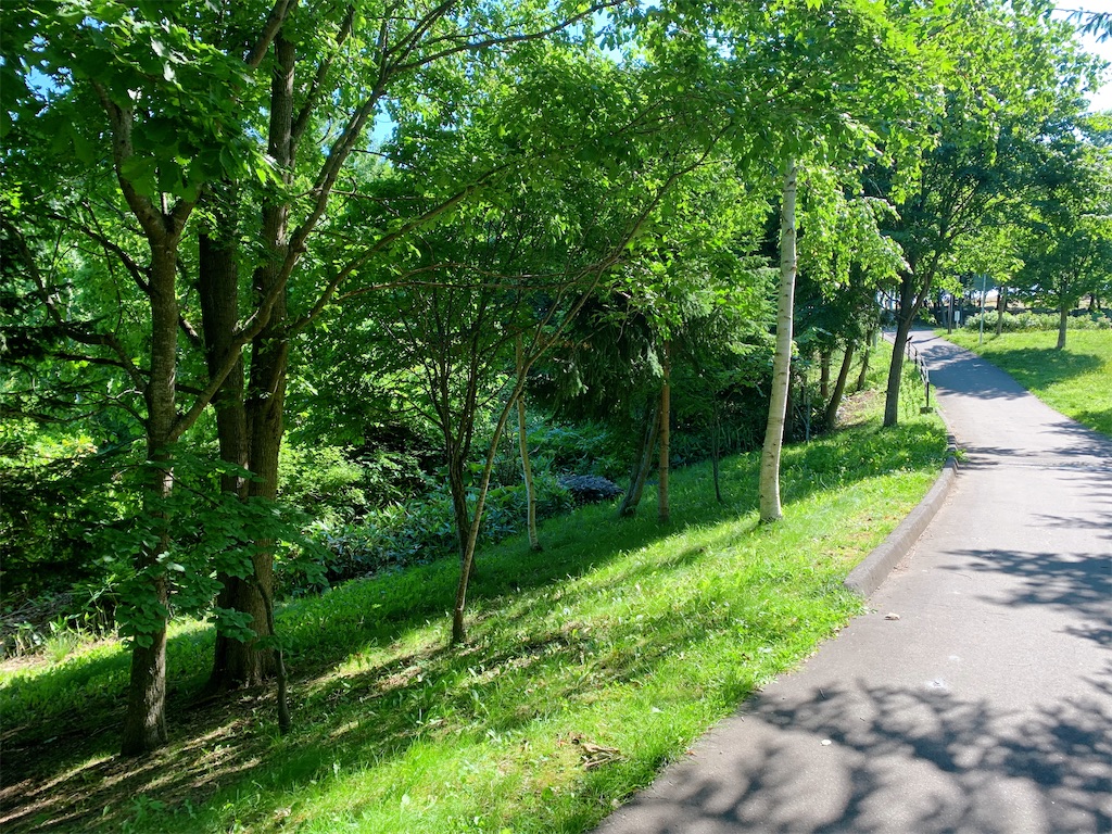 道南 四季の杜公園の気持ちいい緑